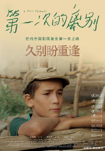 买个假新墨西哥州驾照